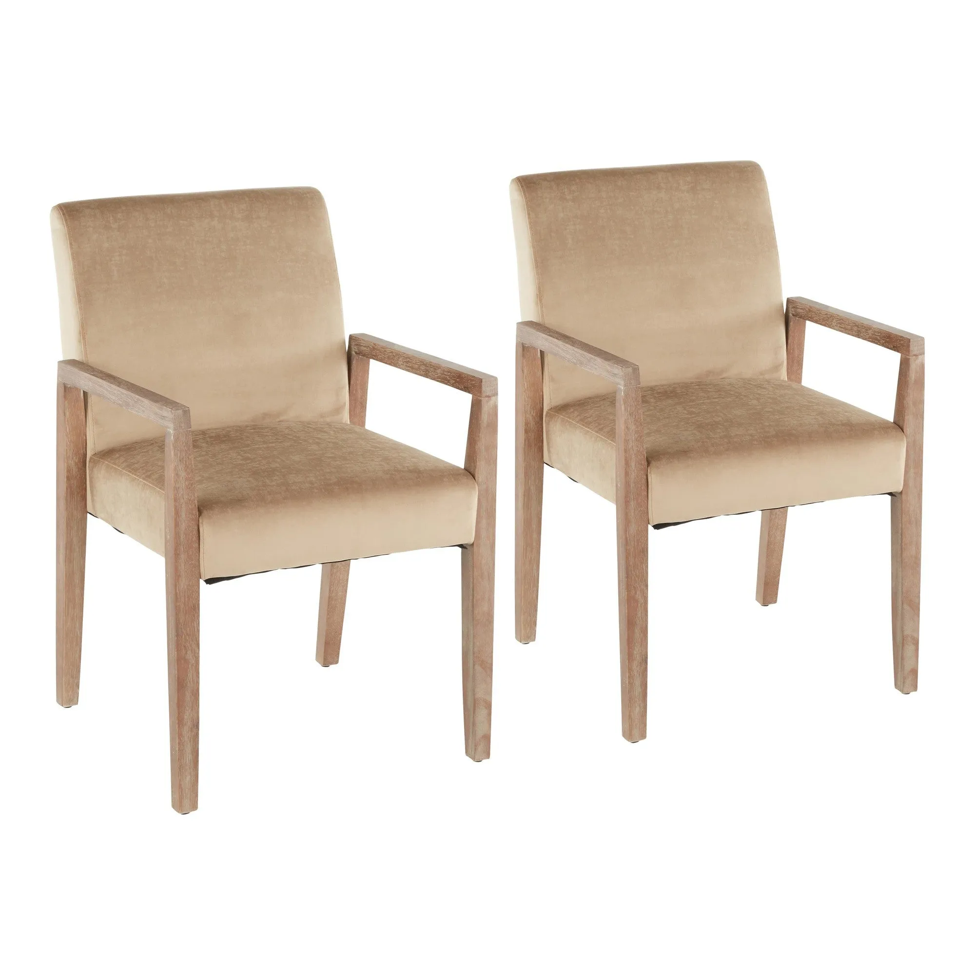 Carmen Contemporary Arm Chair in White Washed Wood and Crushed Light Brown Velvet by LumiSource - Set of 2