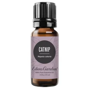 Catnip Essential Oil