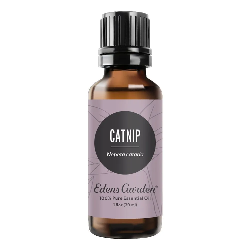 Catnip Essential Oil