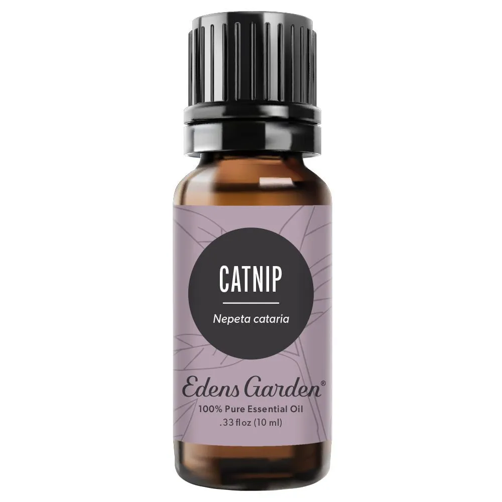 Catnip Essential Oil