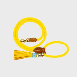 Dog Leash Sunny