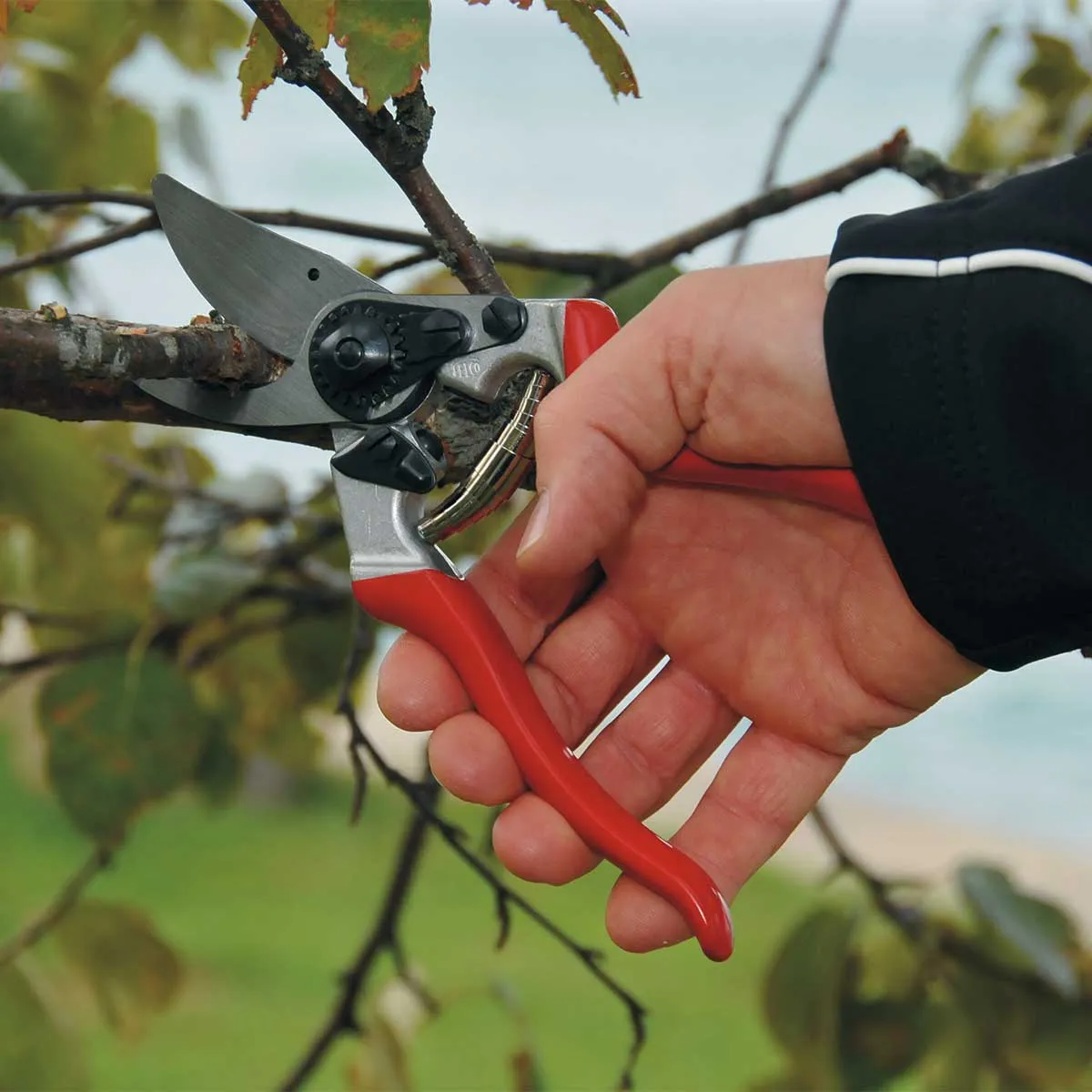 FELCO 8 Pruner & FELCO 910 Holster Combo Kit