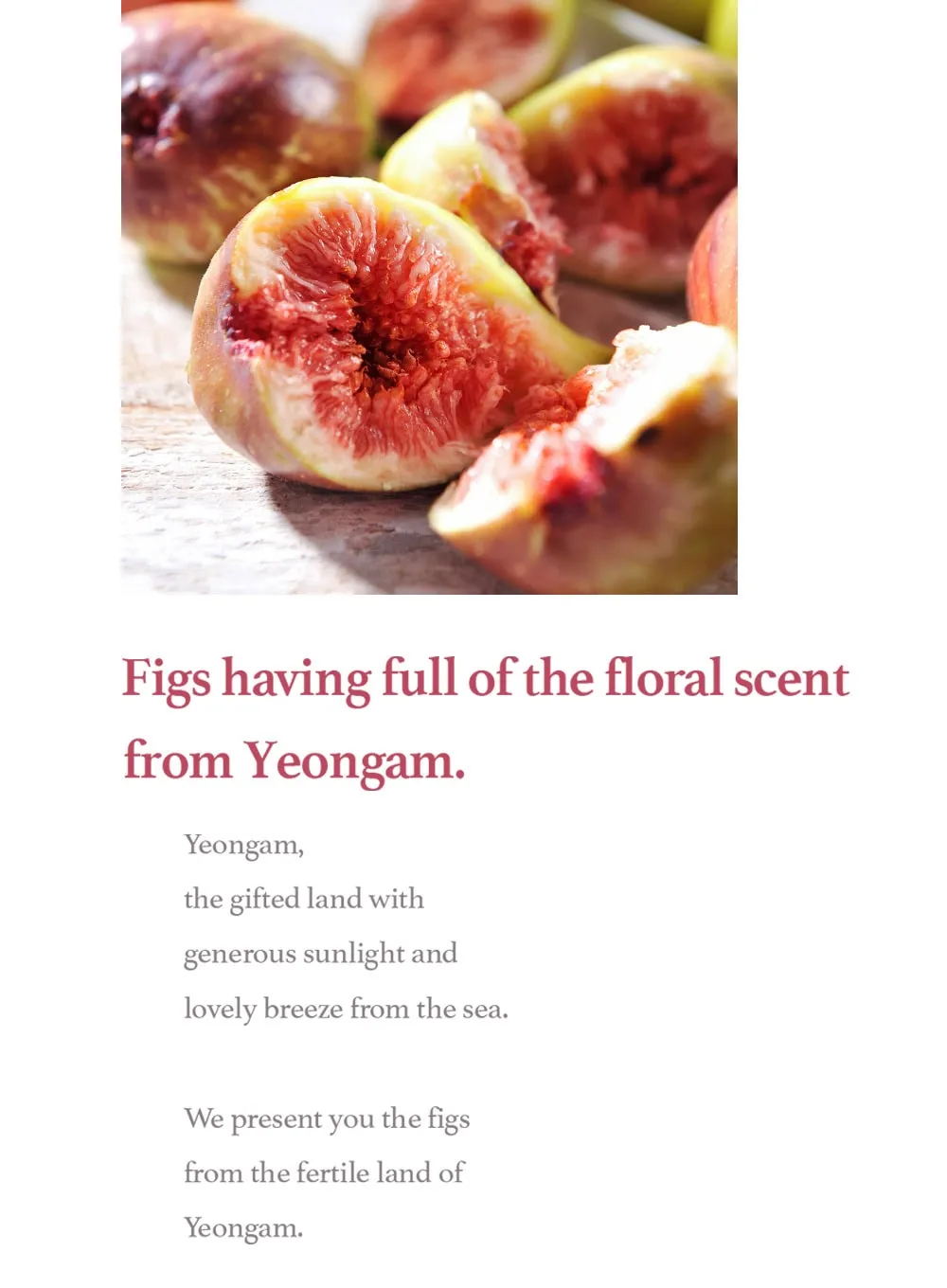 Fig Boosting Essence (150ml)