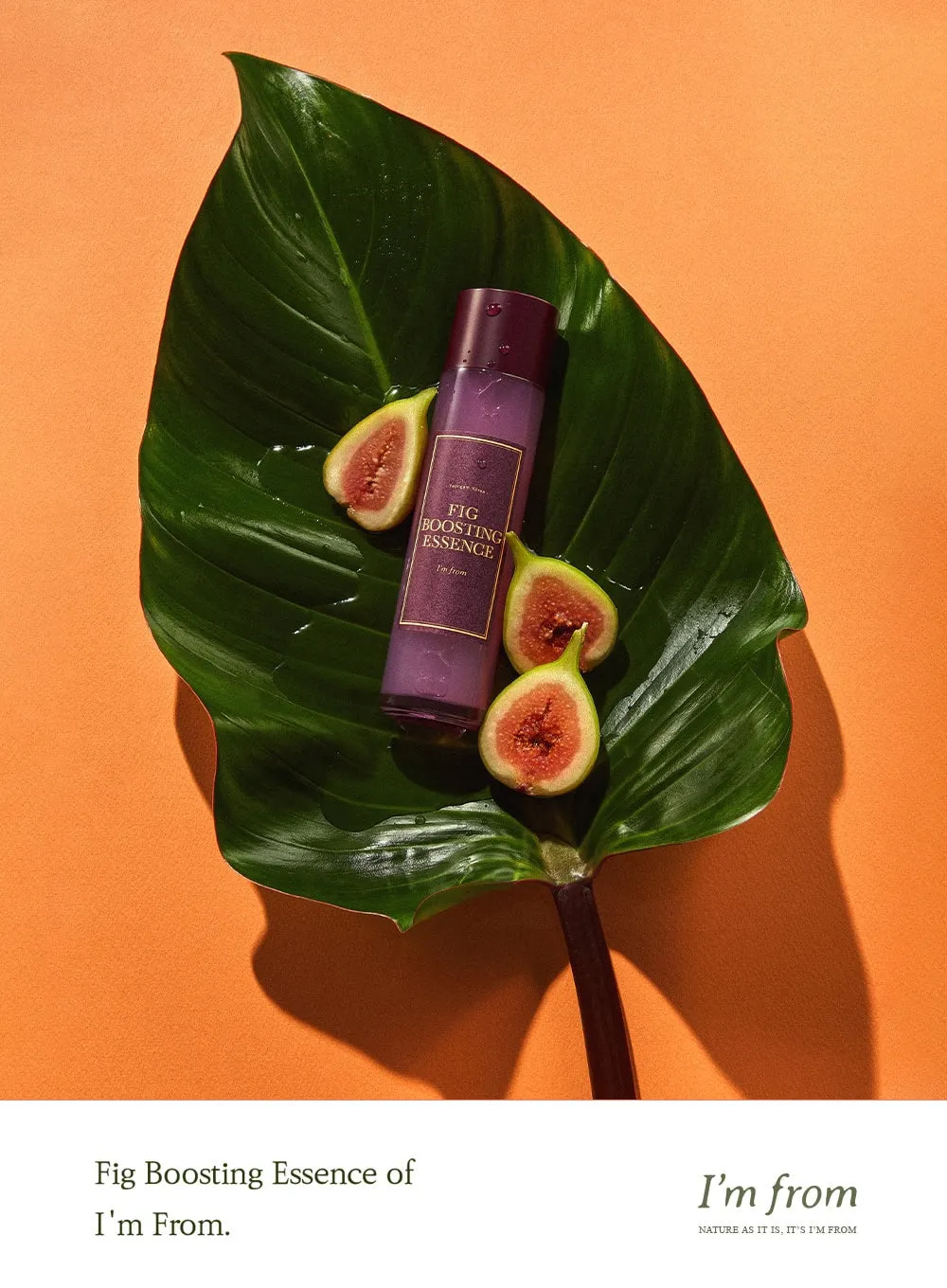 Fig Boosting Essence (150ml)