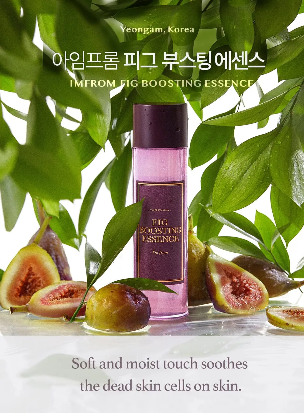 Fig Boosting Essence (150ml)