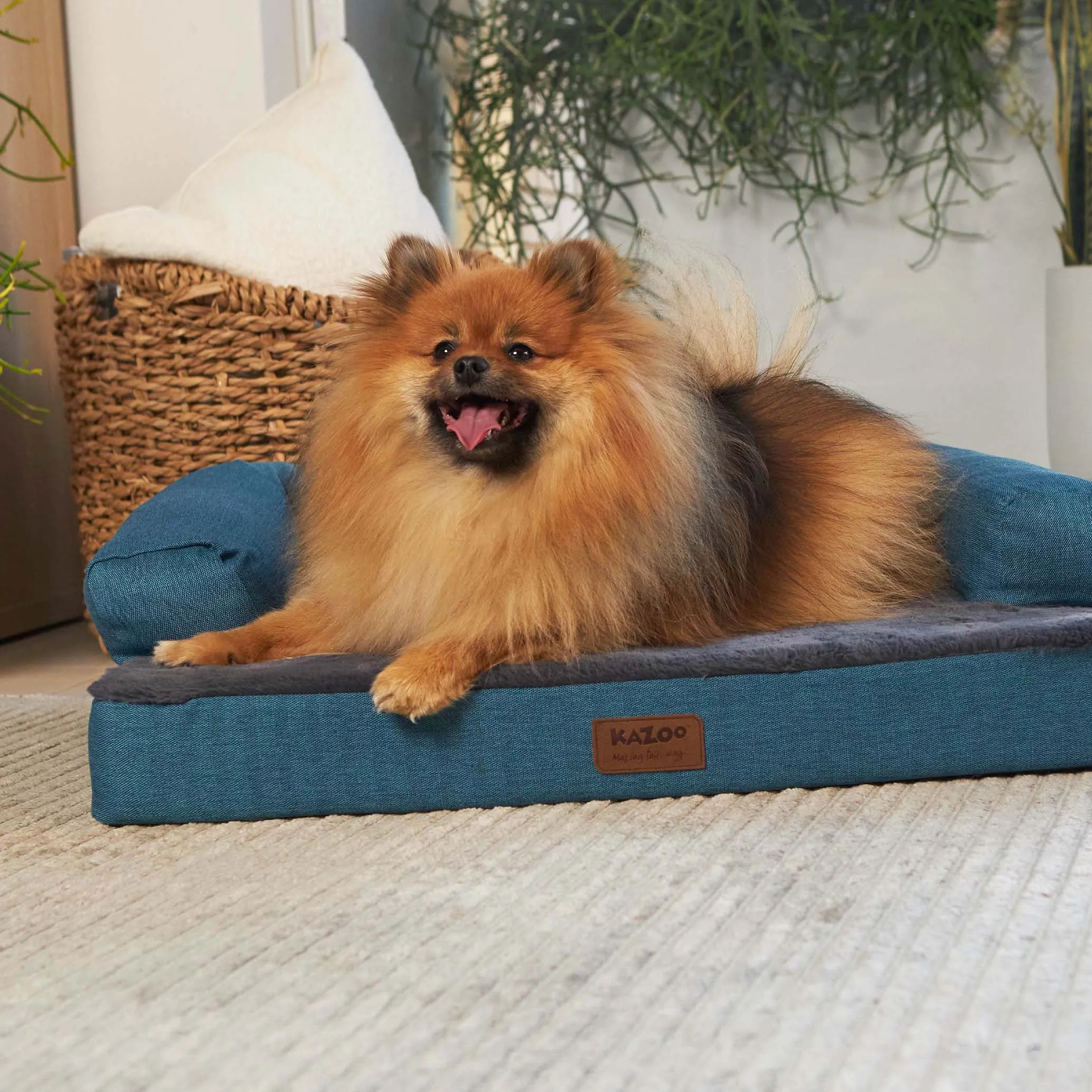 Kazoo Boudoir Large Teal Dog Bed