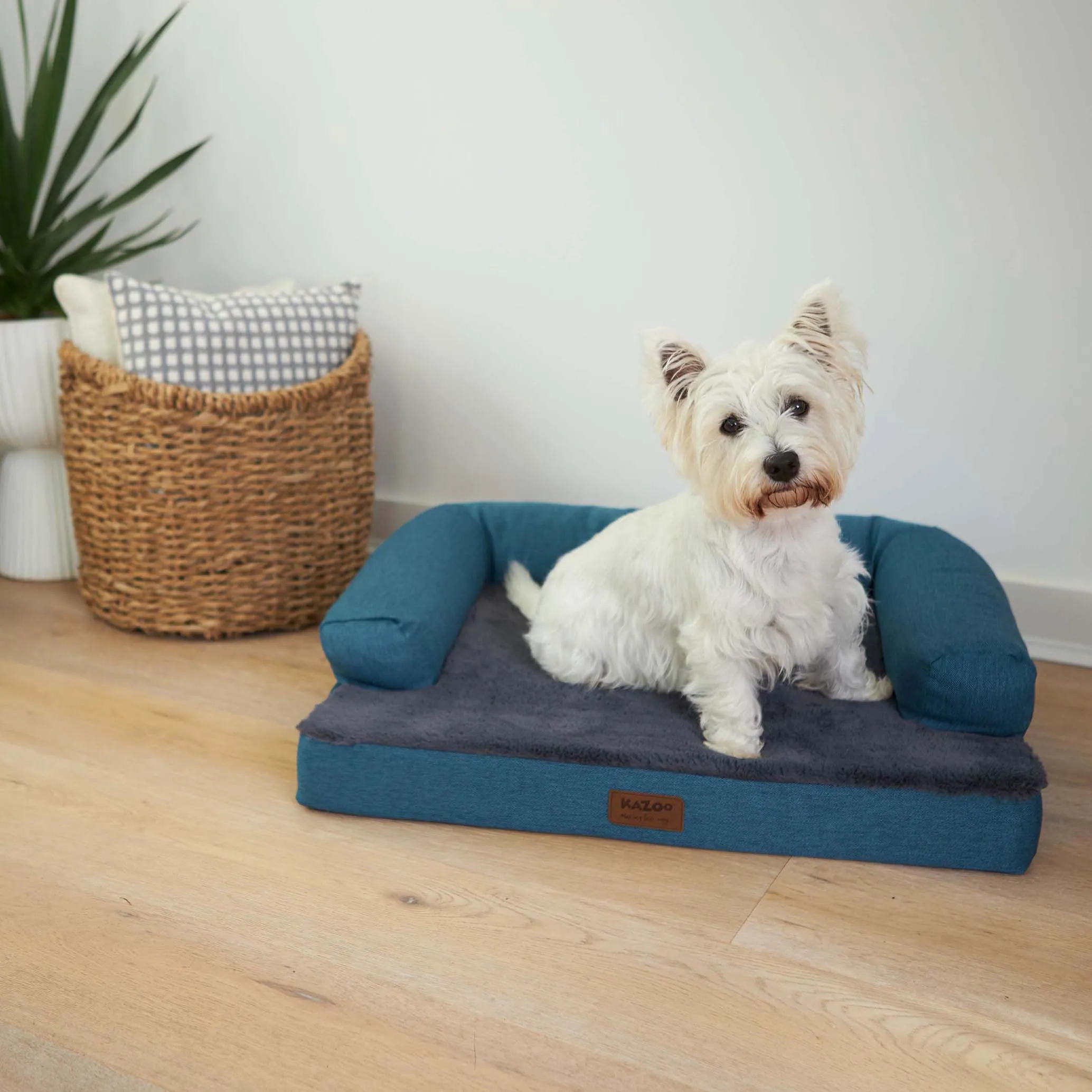 Kazoo Boudoir Medium Teal Dog Bed