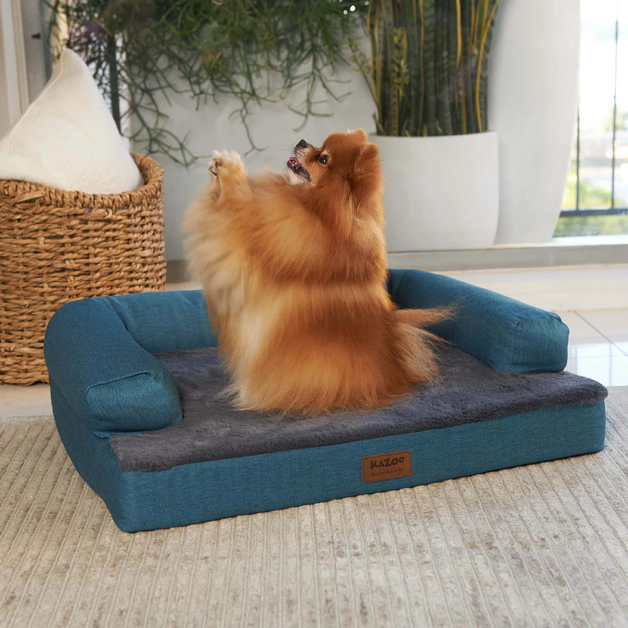 Kazoo Boudoir Medium Teal Dog Bed