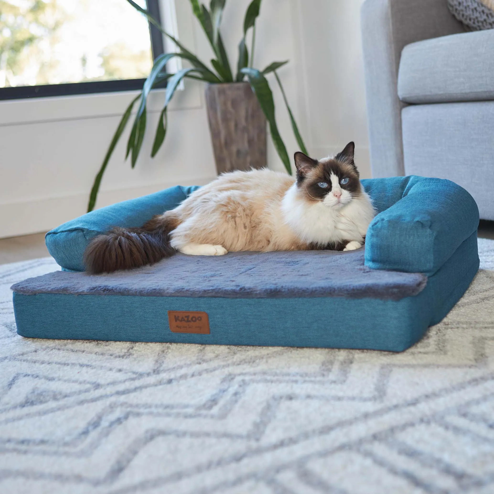 Kazoo Boudoir Medium Teal Dog Bed