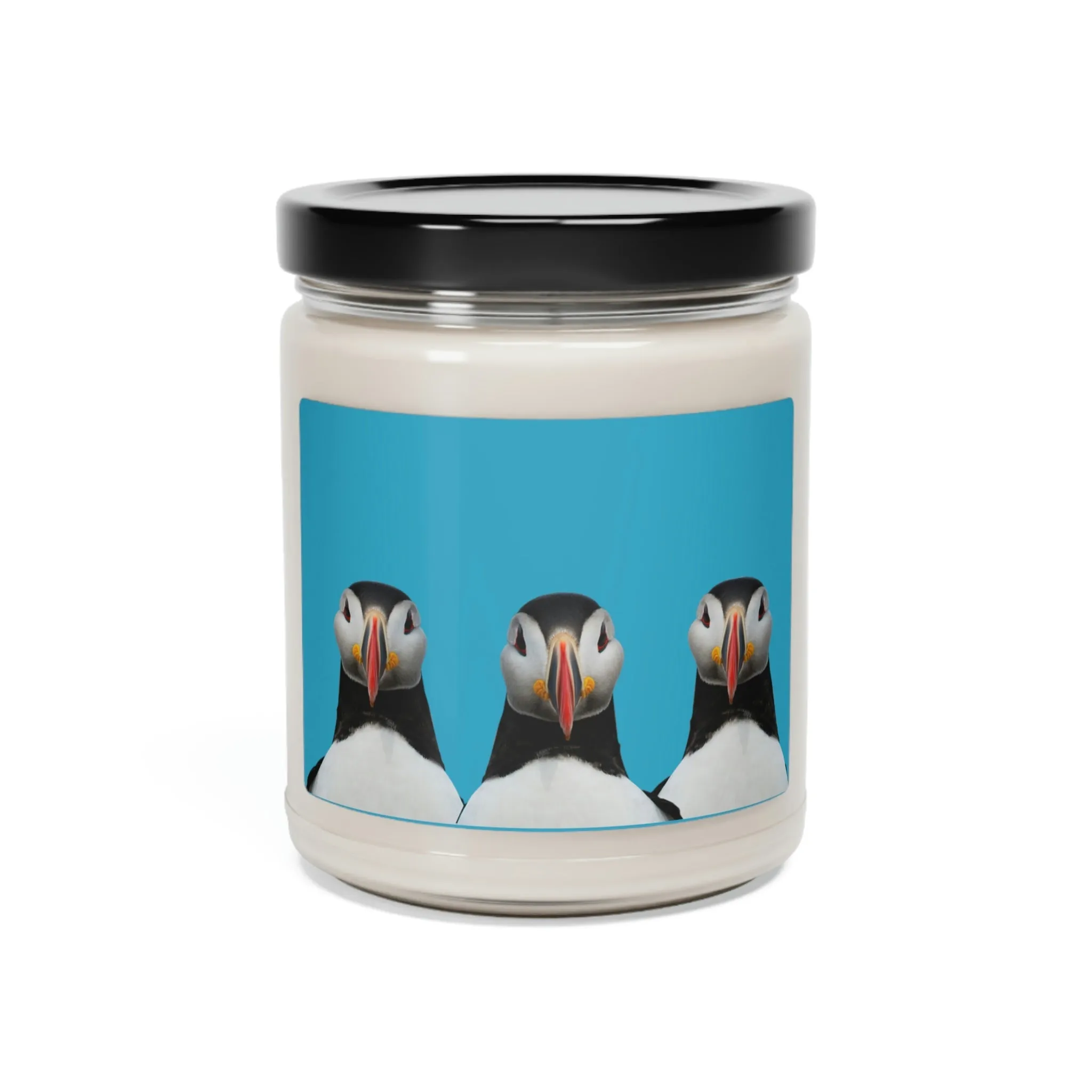 Puffins Scented Soy Candle - 9oz